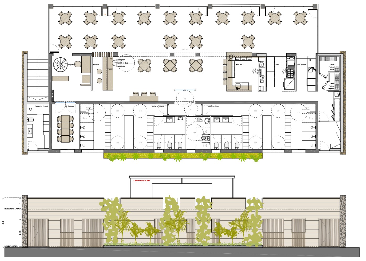 Diseño del nuevo club